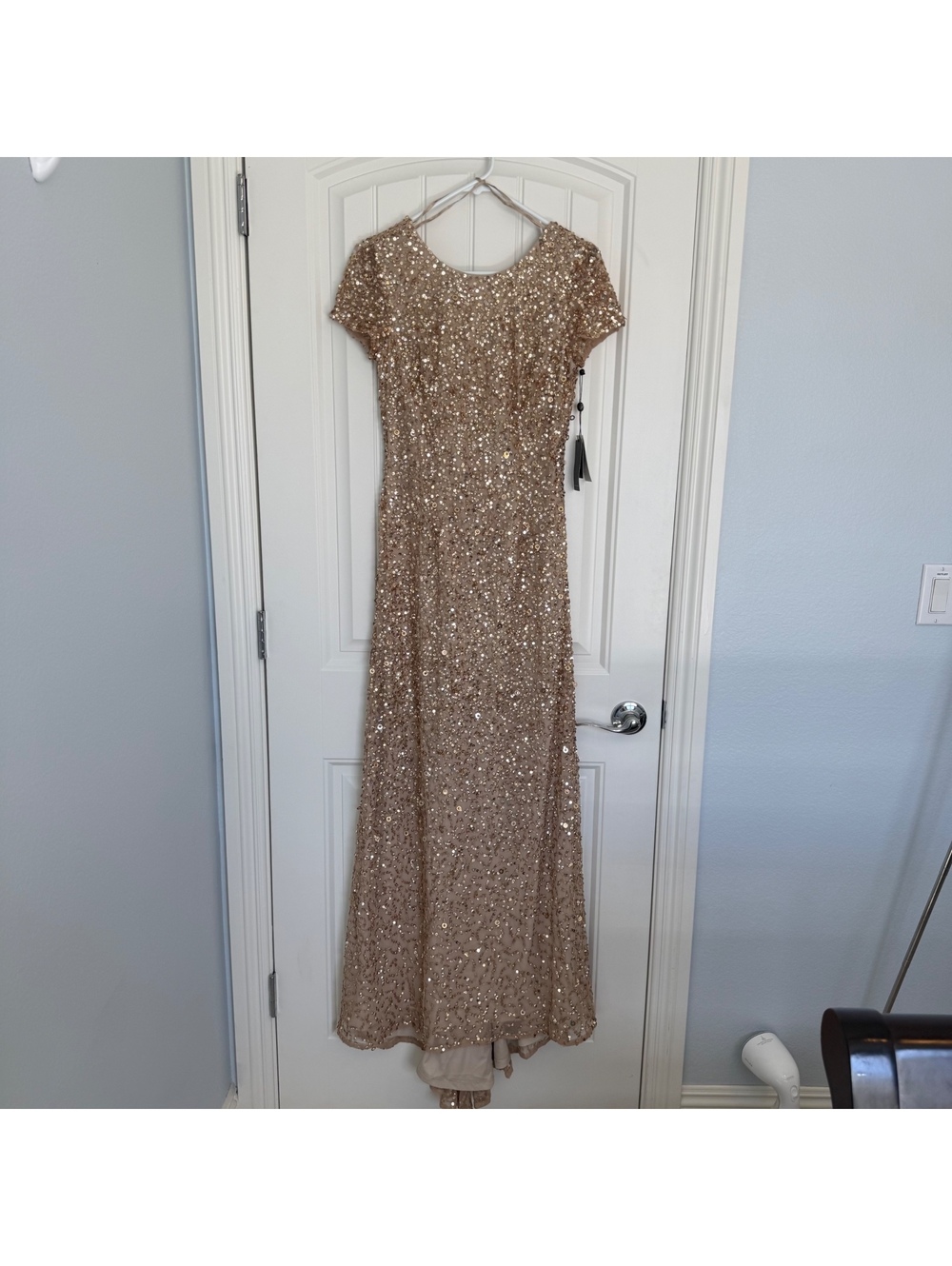 NWT Adrianna Papell Champagne Gold Scoop Back Long Sequin Dress Size 4